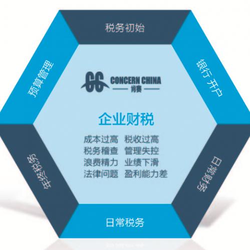 上海一站式財(cái)稅與知識(shí)產(chǎn)權(quán)服務(wù) 專業(yè)代理記賬與全方位解決方案