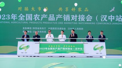 專業(yè)展覽展示承辦——打造品牌形象與商業(yè)價(jià)值的完美舞臺